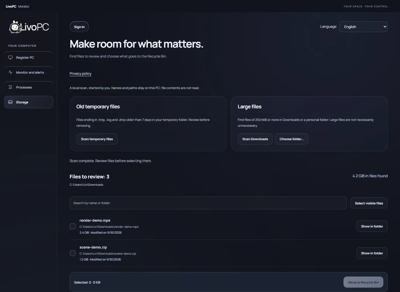 Monitor storage screen in English with temporary file analysis and large files for review